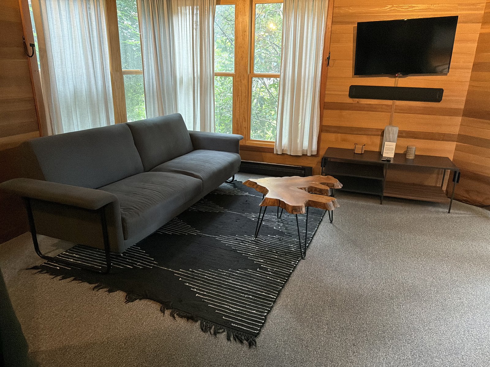 Warm wood-paneled living room with gray sofa and TV