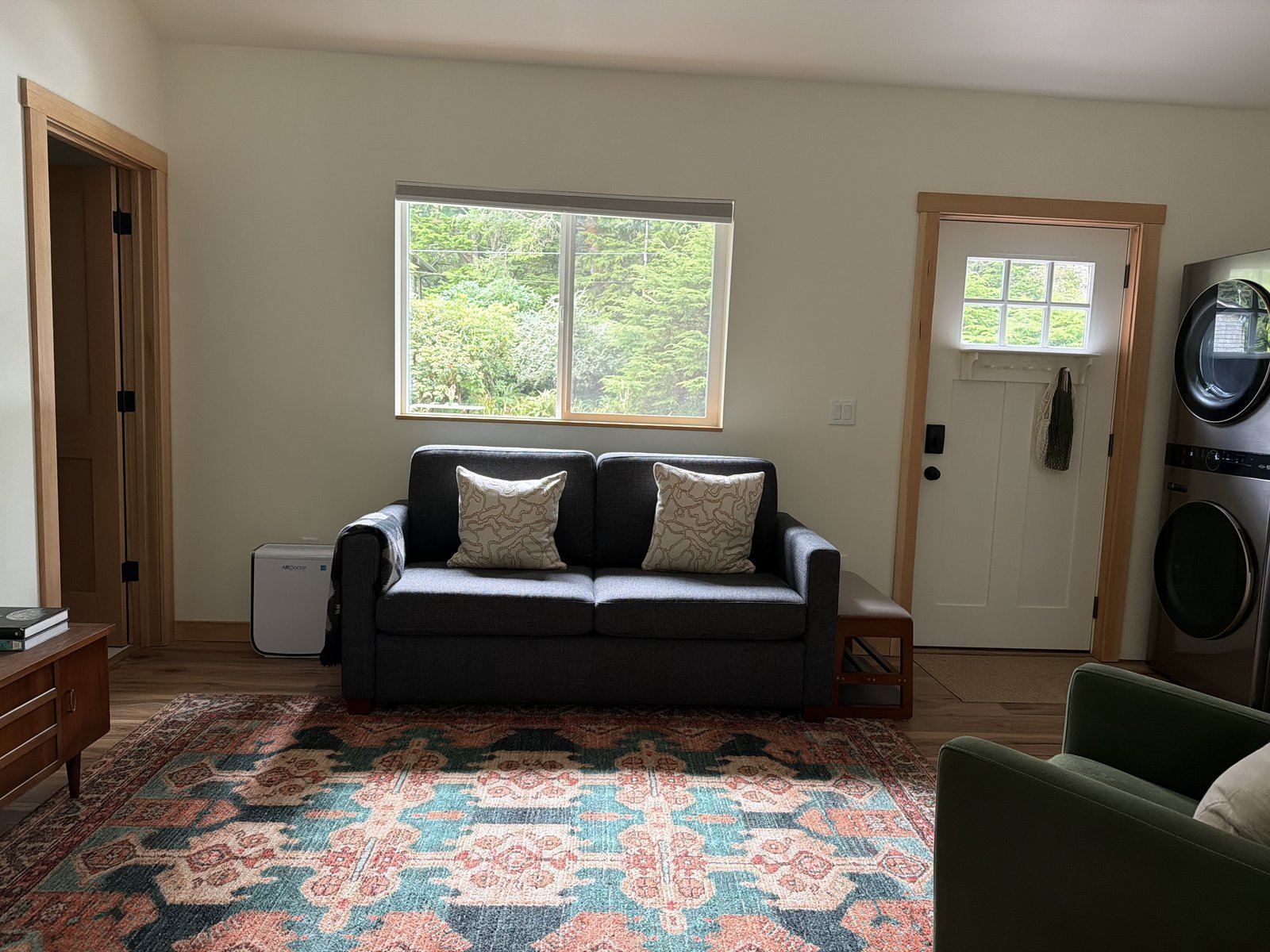 Living room with black sofa and patterned rug after cleaning